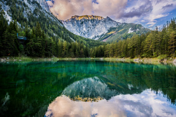 Картинка природа реки озера лес река