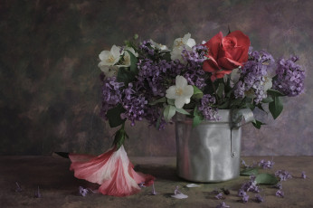 Картинка цветы разные+вместе букет цветение фон