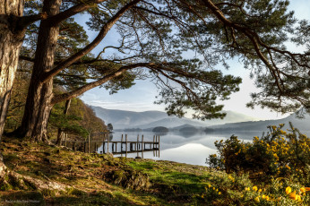 Картинка природа реки озера лес река