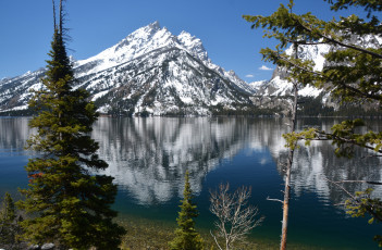 Картинка природа реки озера лес река