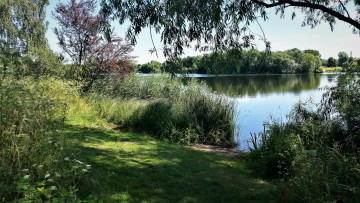 Картинка природа реки озера лес река