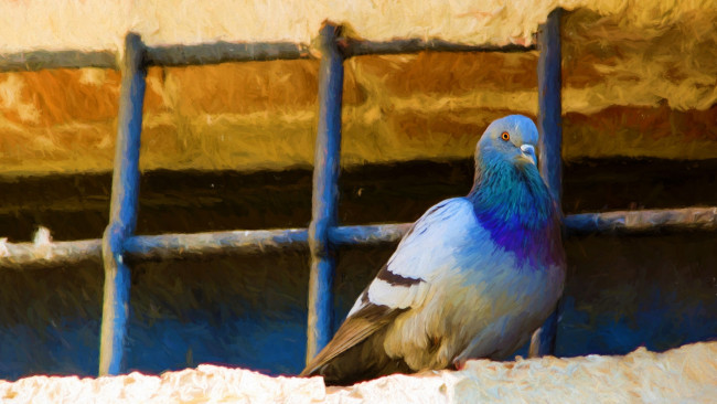 Обои картинки фото рисованное, животные, прутья, сетка, арт, живопись, крыша, мазки, птицы, рисунок, голубь, птица, синий