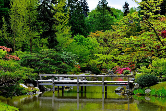 Обои картинки фото природа, парк, вода, деревья, мост, камни