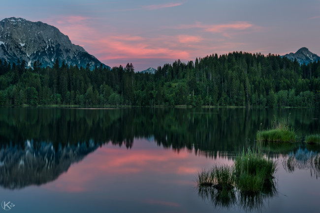 Обои картинки фото природа, реки, озера, вечер, листья, деревья, озеро