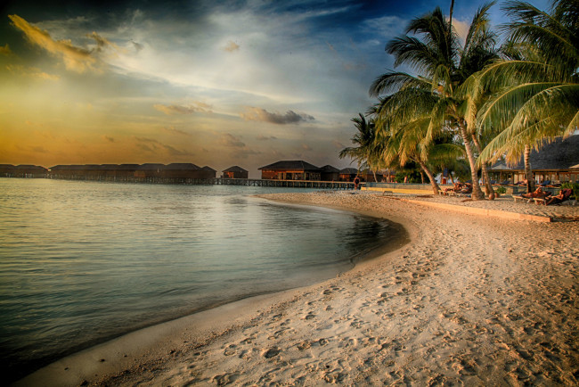 Обои картинки фото природа, тропики, море, красота, вода, пляж, пальмы