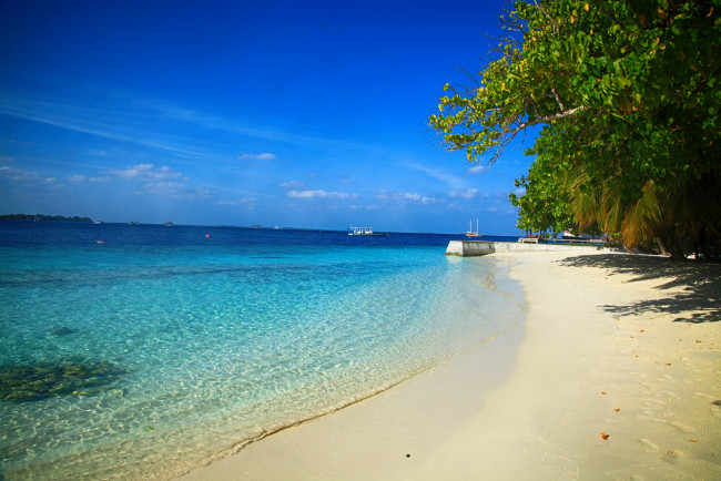 Обои картинки фото природа, тропики, море, пляж, пальмы, вода, красота