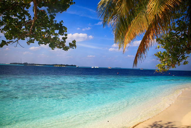 Обои картинки фото природа, тропики, море, пляж, пальмы, вода, красота