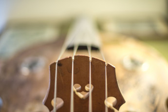 Картинка музыка -музыкальные+инструменты струны