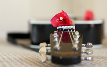 Картинка музыка -музыкальные+инструменты цветок гитара