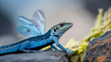 Картинка 3д+графика фантазия+ fantasy нейросети графика нейроарт ai art нейронные сети рисунки нейро искусство ящерица с крыльями