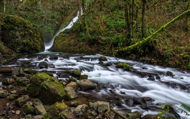 Обои картинки фото природа, водопады, водопад, река, поток, склоны, камни, лес