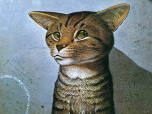 Картинка юмор приколы