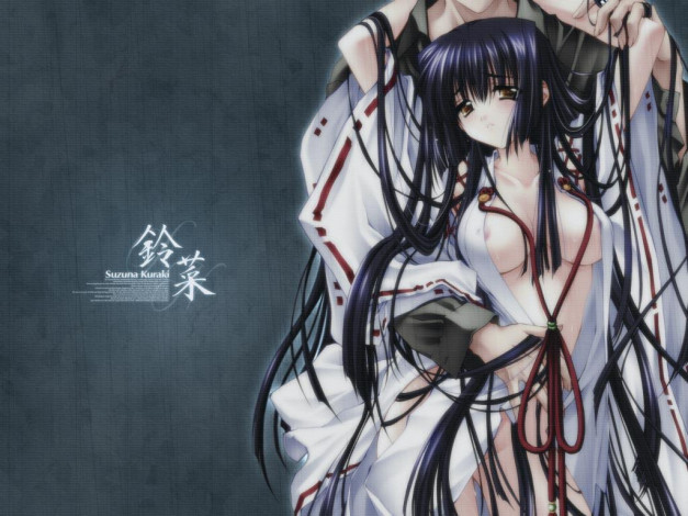 Обои картинки фото аниме, moonlight, lady