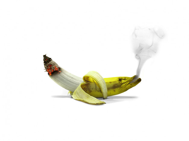 Обои картинки фото юмор, приколы