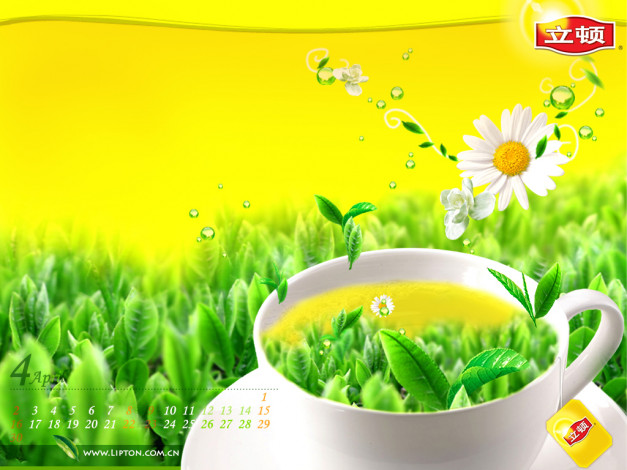 Обои картинки фото бренды, lipton