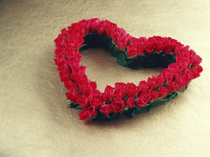 Картинка цветы розы