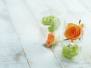 Картинка интерьер декор отделка сервировка