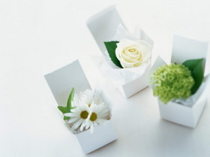 Картинка разное