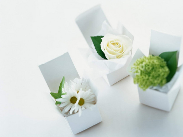 Обои картинки фото разное