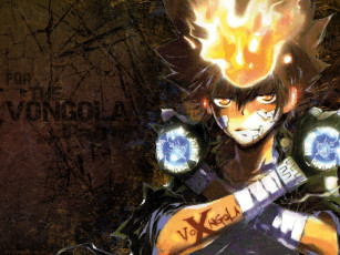 Картинка аниме katekyo hitman reborn