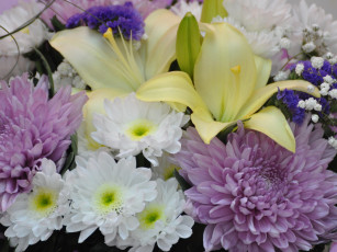 Картинка цветы разные вместе