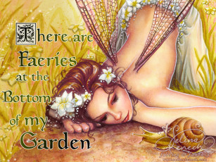 обоя фэнтези, феи