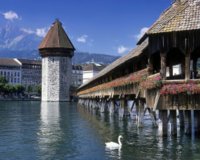 Картинка города мосты