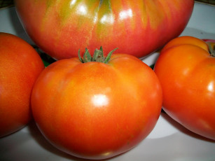 Картинка еда помидоры томаты