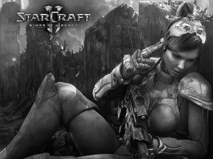 Картинка starcraft ii wings of liberty видео игры