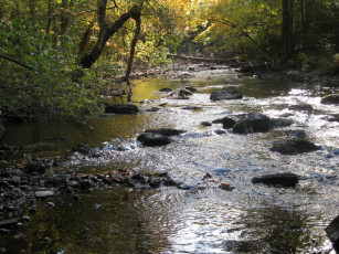 Картинка природа реки озера река