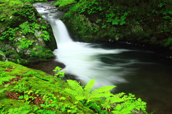 Картинка природа реки озера река