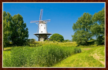 Картинка разное мельницы мельница