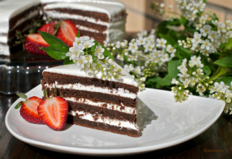 Картинка еда торт только клубника черемуха