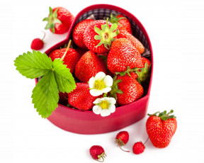 Картинка еда клубника +земляника ягоды земляника
