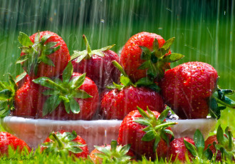 Картинка еда клубника +земляника дождь