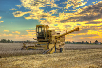 обоя техника, комбайны, комбайн, поле