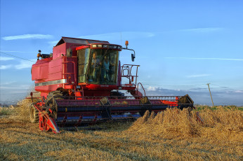 Картинка техника комбайны комбайн поле