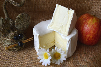 Картинка еда сырные+изделия сыр