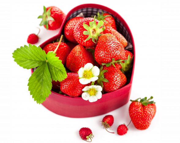 Обои картинки фото еда, клубника,  земляника, ягоды, земляника