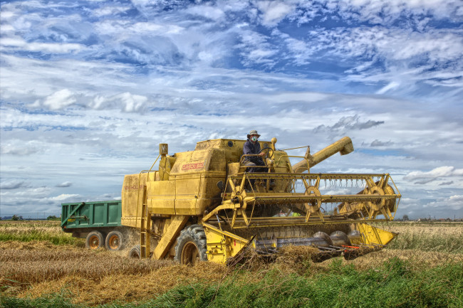 Обои картинки фото техника, комбайны, комбайн, поле
