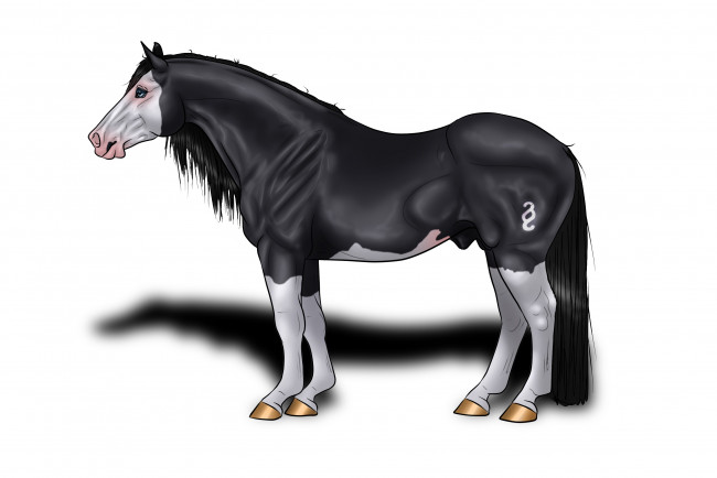 Обои картинки фото рисованные, животные,  лошади, лошадь