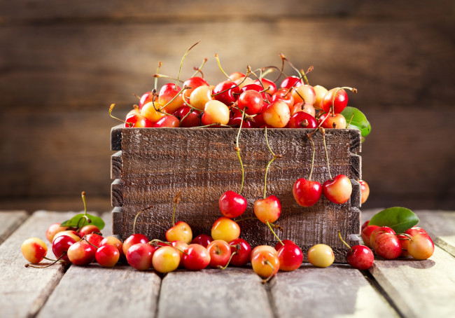 Обои картинки фото еда, вишня,  черешня, листики, черешня, ящик