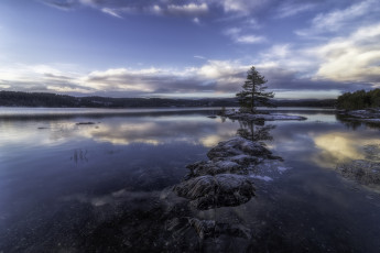 Картинка природа реки озера лес река островок ель сумрак