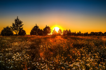 Картинка природа восходы закаты рассвет