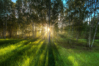 Картинка природа восходы закаты рассвет