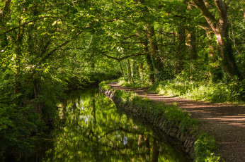 Картинка природа дороги лес река