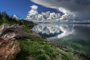 Картинка природа реки озера лес река