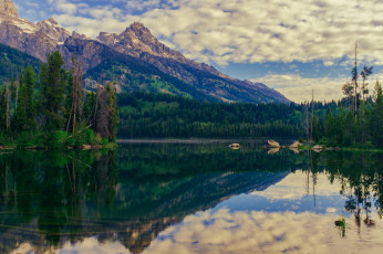 Картинка природа реки озера лес река