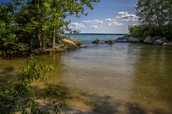 Картинка природа реки озера лес река