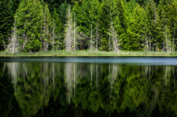 Картинка природа реки озера лес река